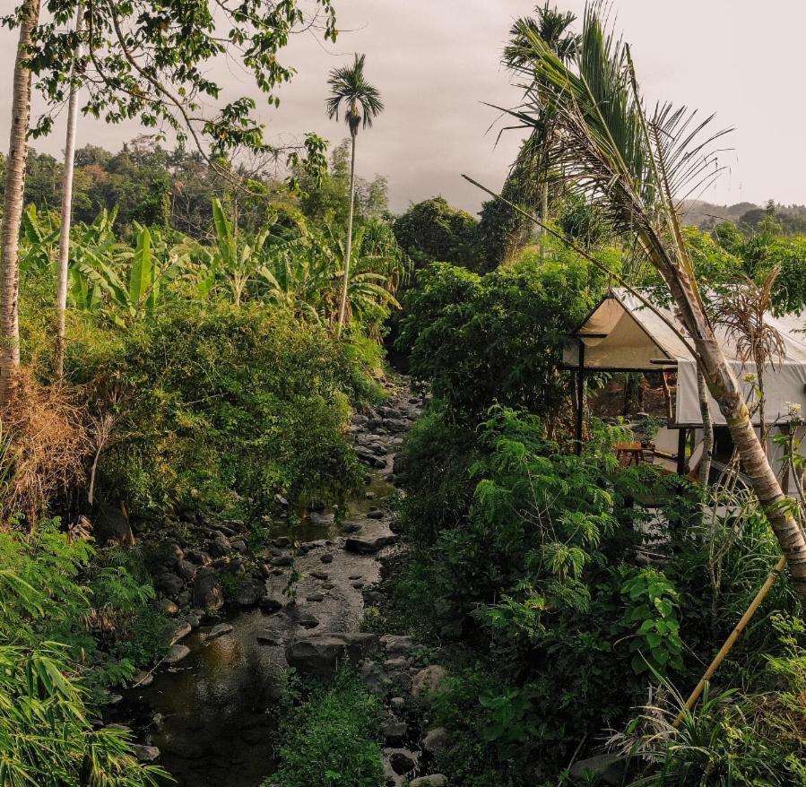 Camani Glamping Hotel Karangasem  Ngoại thất bức ảnh