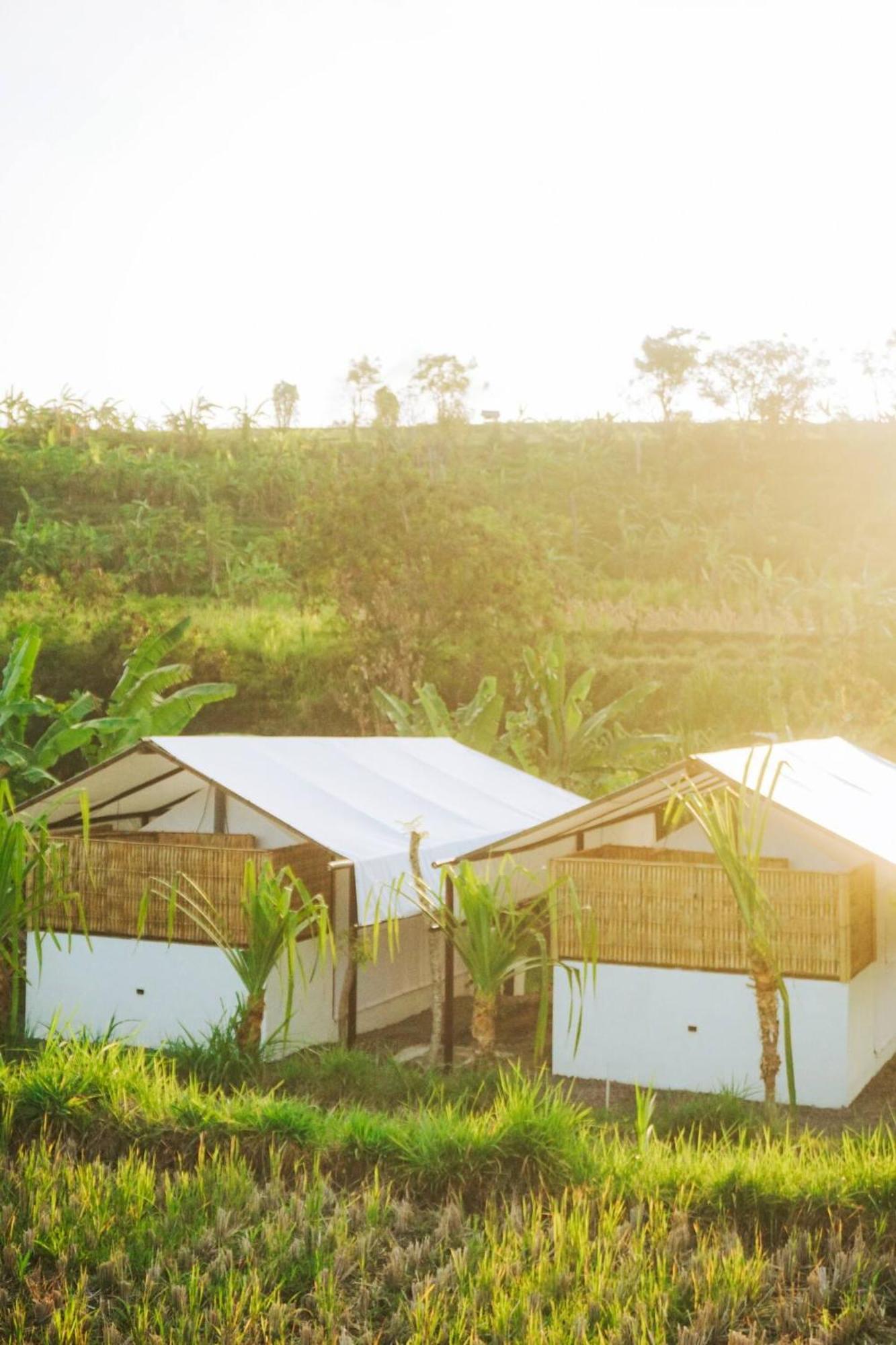 Camani Glamping Hotel Karangasem  Ngoại thất bức ảnh