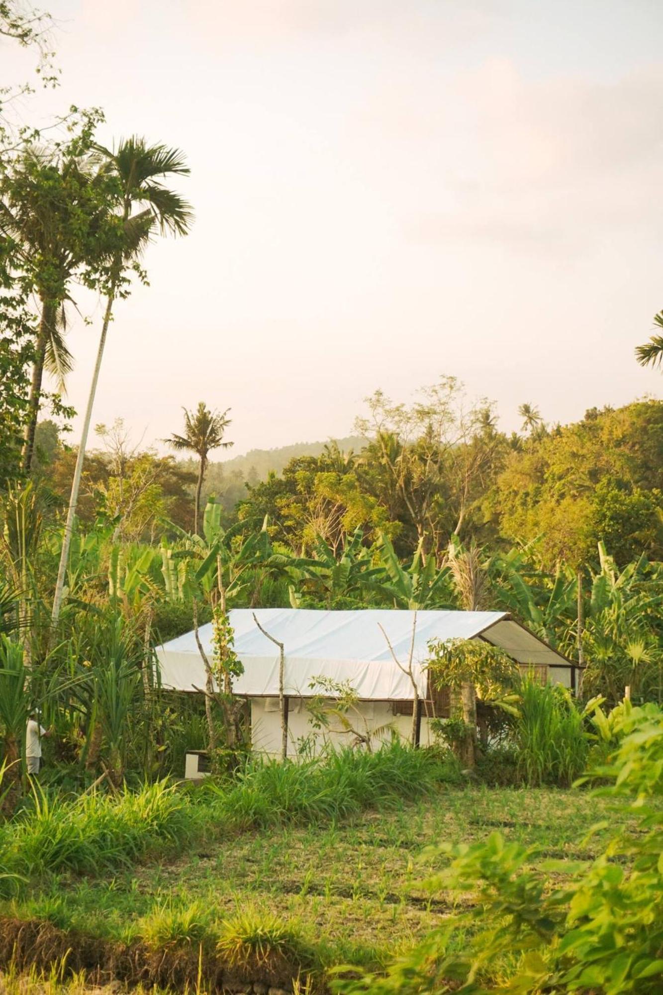 Camani Glamping Hotel Karangasem  Ngoại thất bức ảnh