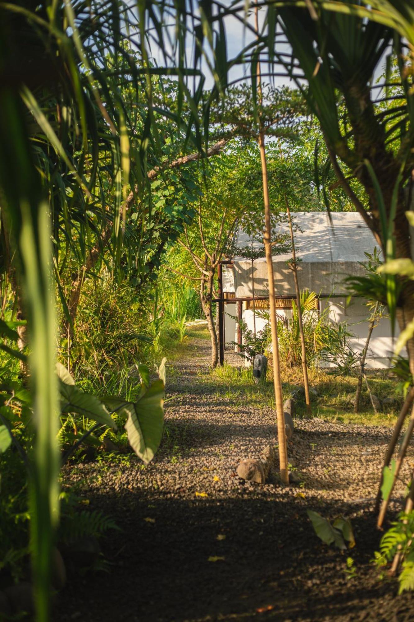 Camani Glamping Hotel Karangasem  Ngoại thất bức ảnh