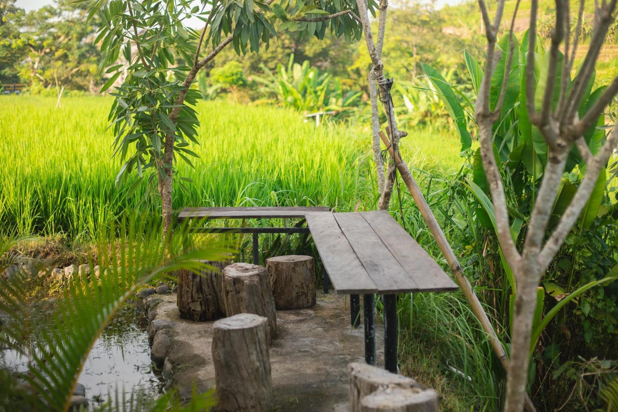 Camani Glamping Hotel Karangasem  Ngoại thất bức ảnh