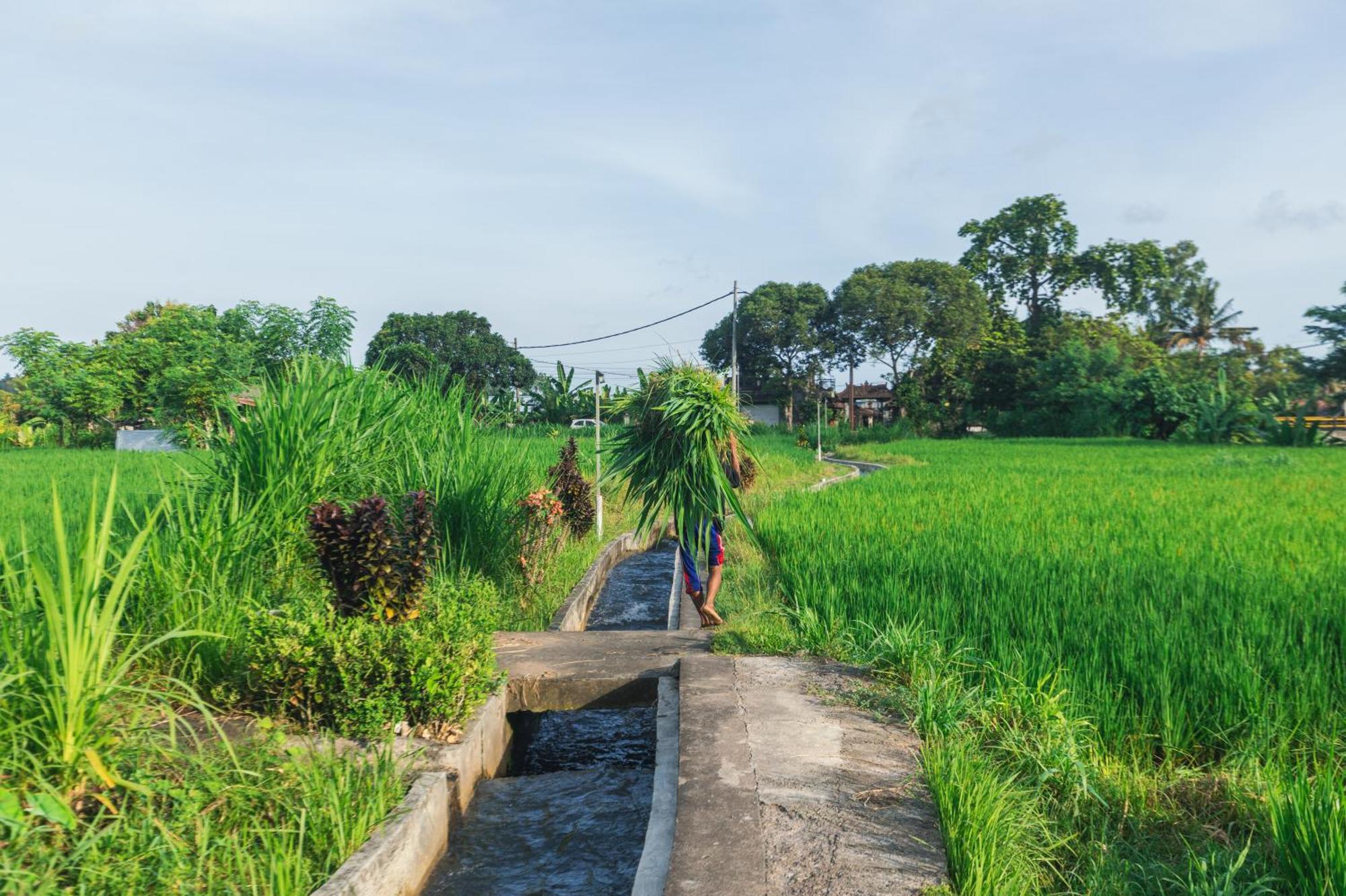Camani Glamping Hotel Karangasem  Ngoại thất bức ảnh