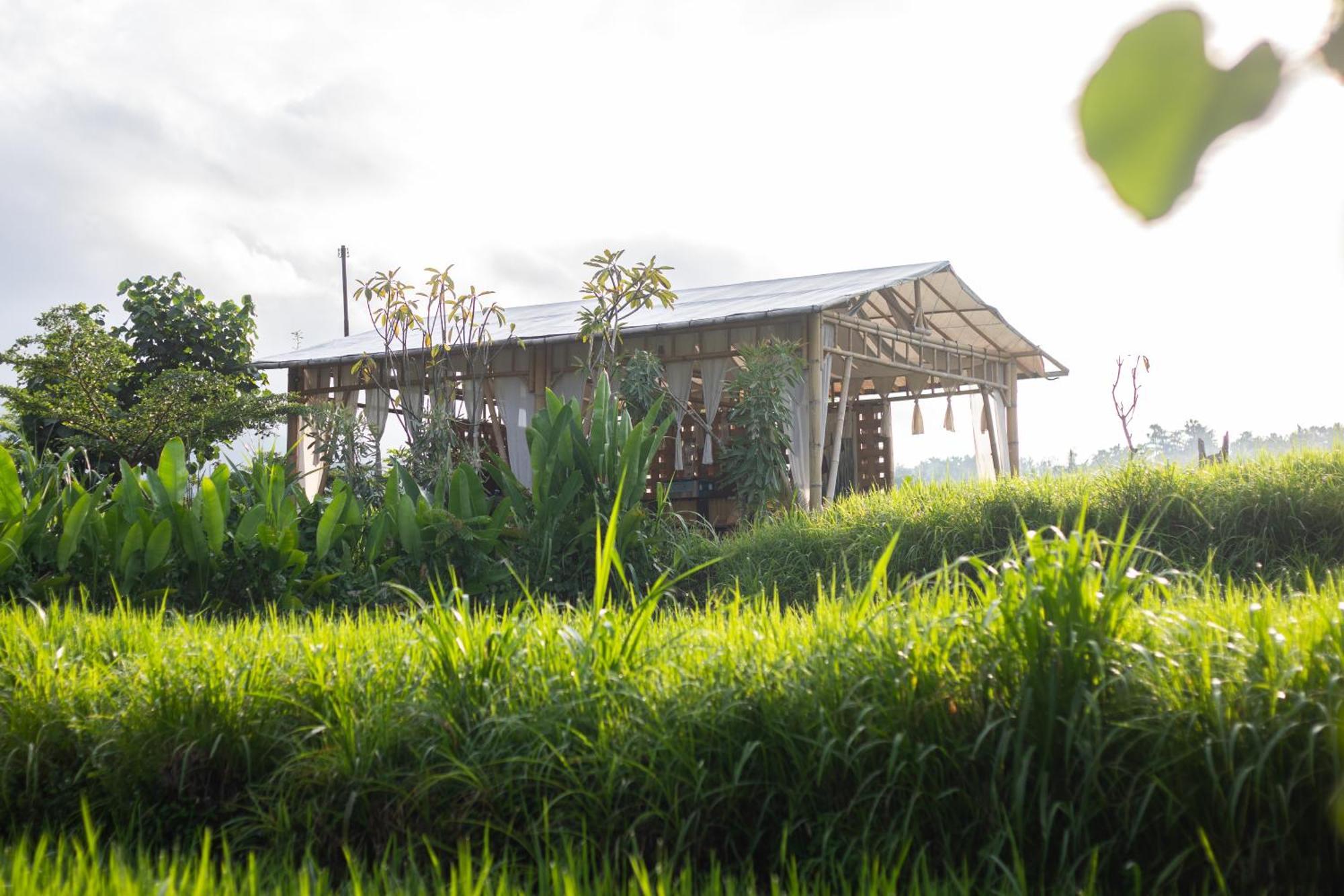 Camani Glamping Hotel Karangasem  Ngoại thất bức ảnh