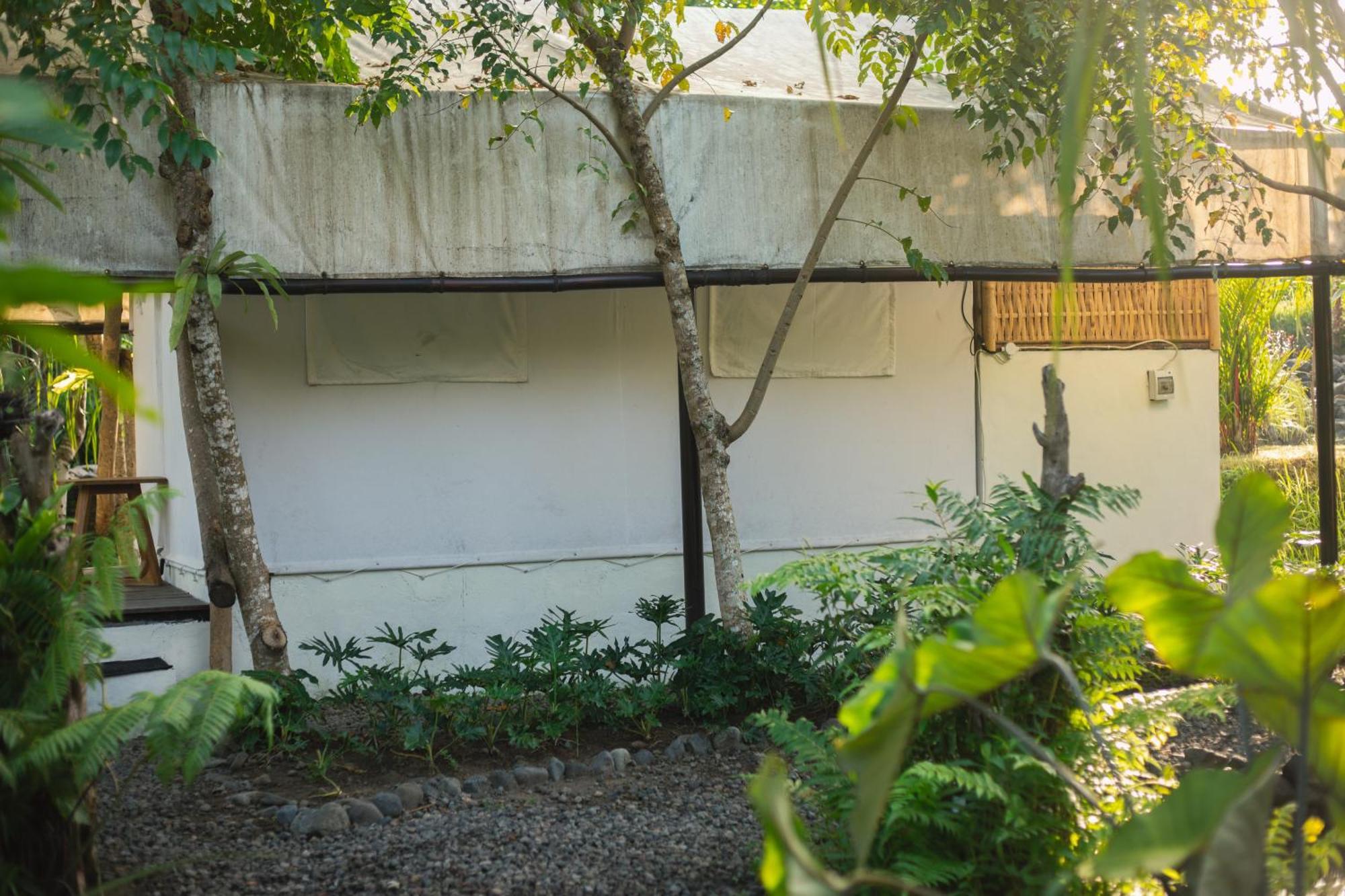 Camani Glamping Hotel Karangasem  Phòng bức ảnh
